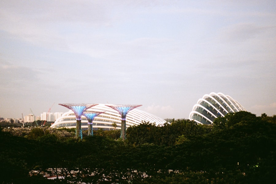 best web design singapore